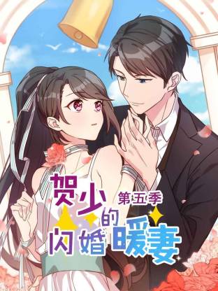 贺少的闪婚暖妻第五季封面图