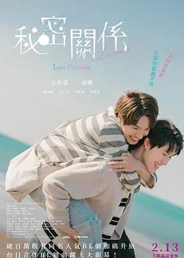 秘密关系：最后的约束封面图