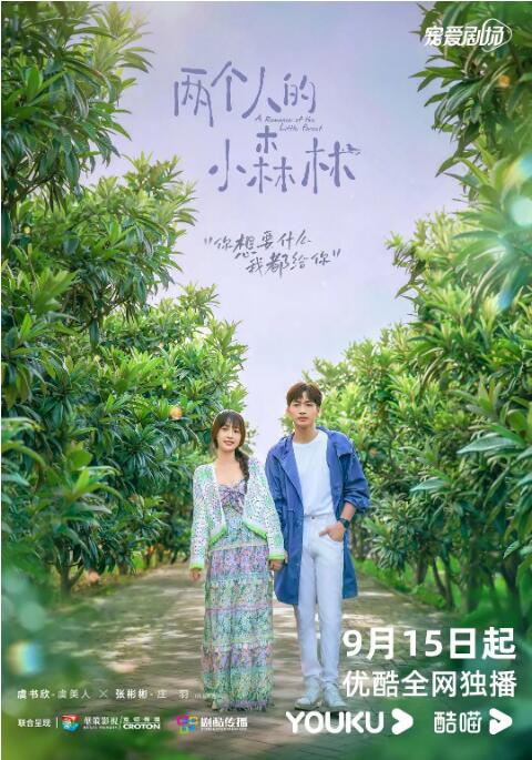 两个人的小森林封面图