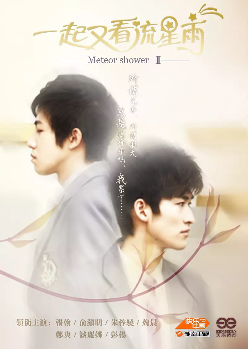 一起又看流星雨 2010封面图