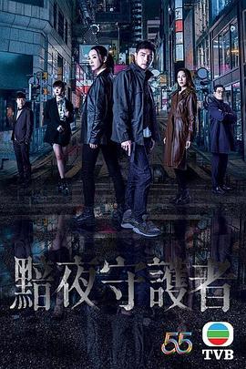 暗夜守护者封面图