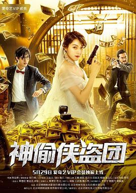 神偷侠盗团封面图