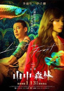 山中森林封面图