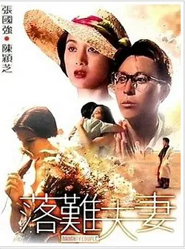 落难夫妻封面图