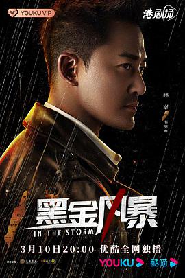 黑金风暴粤语版封面图