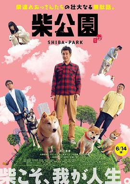 柴犬公园封面图