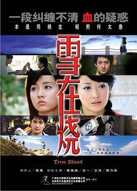 雪在烧 2007封面图