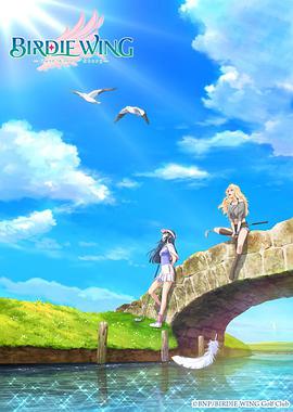 小鸟之翼封面图