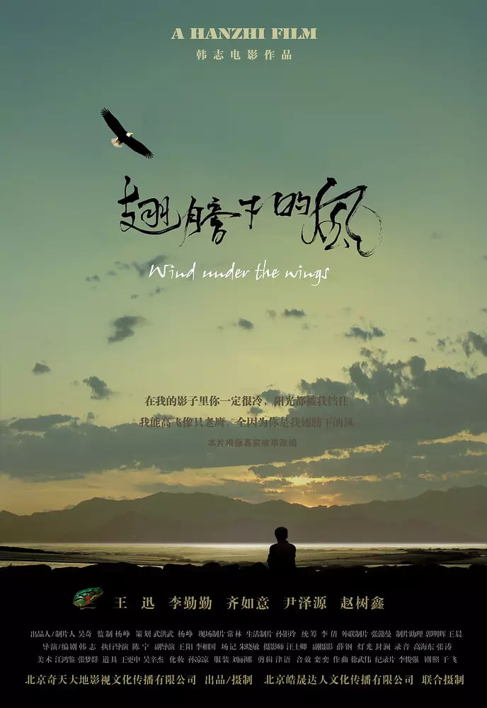 翅膀下的风封面图
