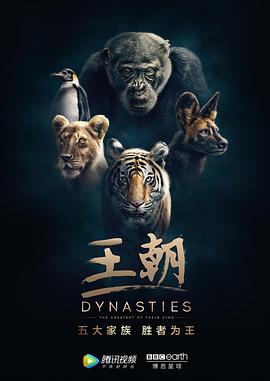 王朝 第一季 英文版封面图