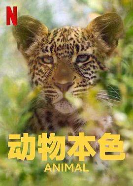 动物本色 第二季封面图