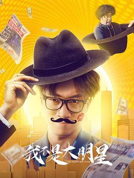 我不是大明星封面图