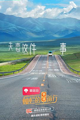 灿烂的前行封面图
