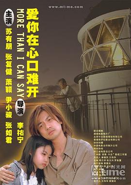 爱你在心口难开封面图