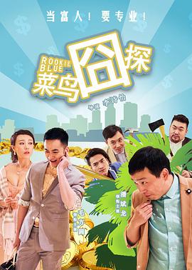 菜鸟囧探封面图