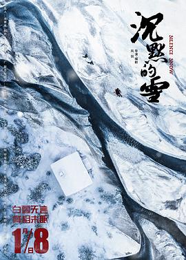 沉默的雪封面图