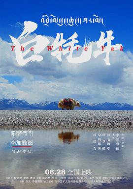白牦牛封面图