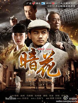 暗花[电视剧版]封面图
