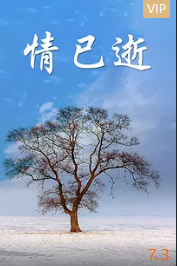 情已逝封面图