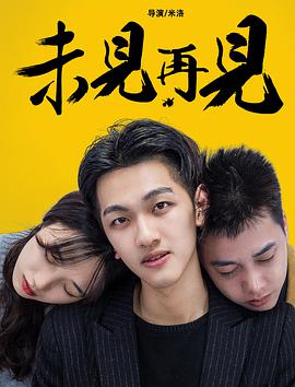 未见再见封面图