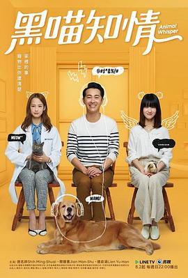 黑喵知情封面图