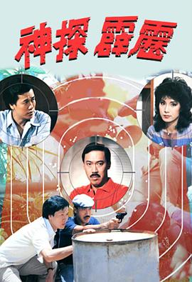 神探霹雳国语版封面图