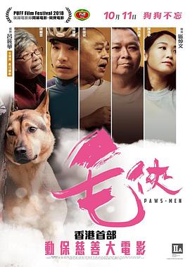 毛侠封面图