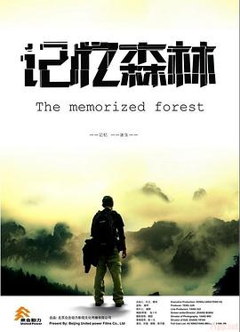 记忆森林封面图