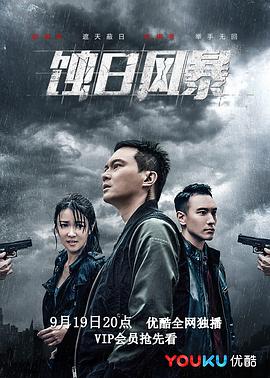 蚀日风暴国语封面图