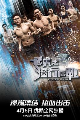 飞虎之潜行极战粤语版封面图