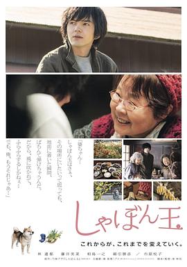 肥皂泡封面图