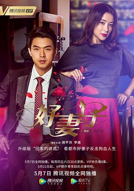 好妻子封面图