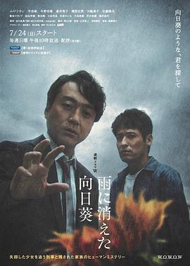 雨中消失的向日葵封面图