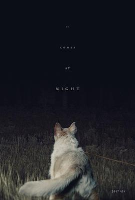 黑夜造访封面图