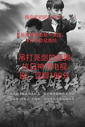 地雷战2015封面图