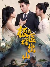极品医婿出山封面图