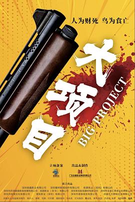 大项目封面图