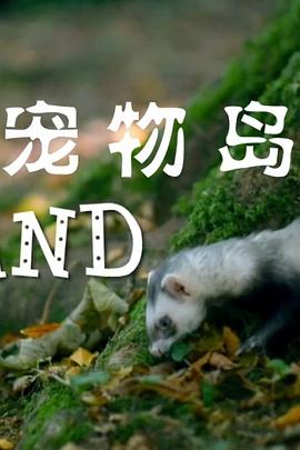 宠物岛封面图
