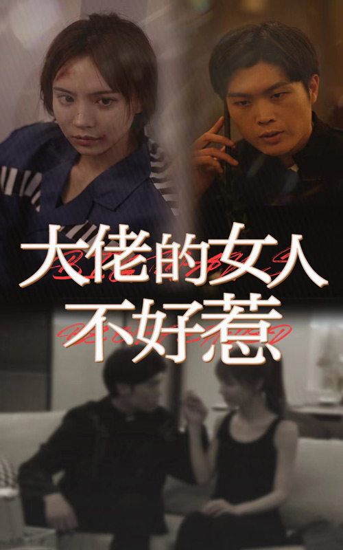 大佬女人不好惹封面图