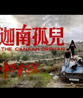 中东大宝荐1：迦南孤儿封面图