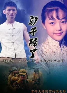 驴子醒了封面图
