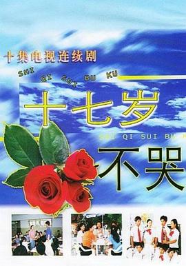 十七岁不哭封面图