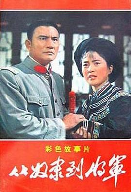 从奴隶到将军封面图