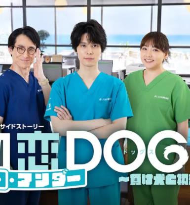 初恋UNDERDOGs～败犬与初恋～封面图