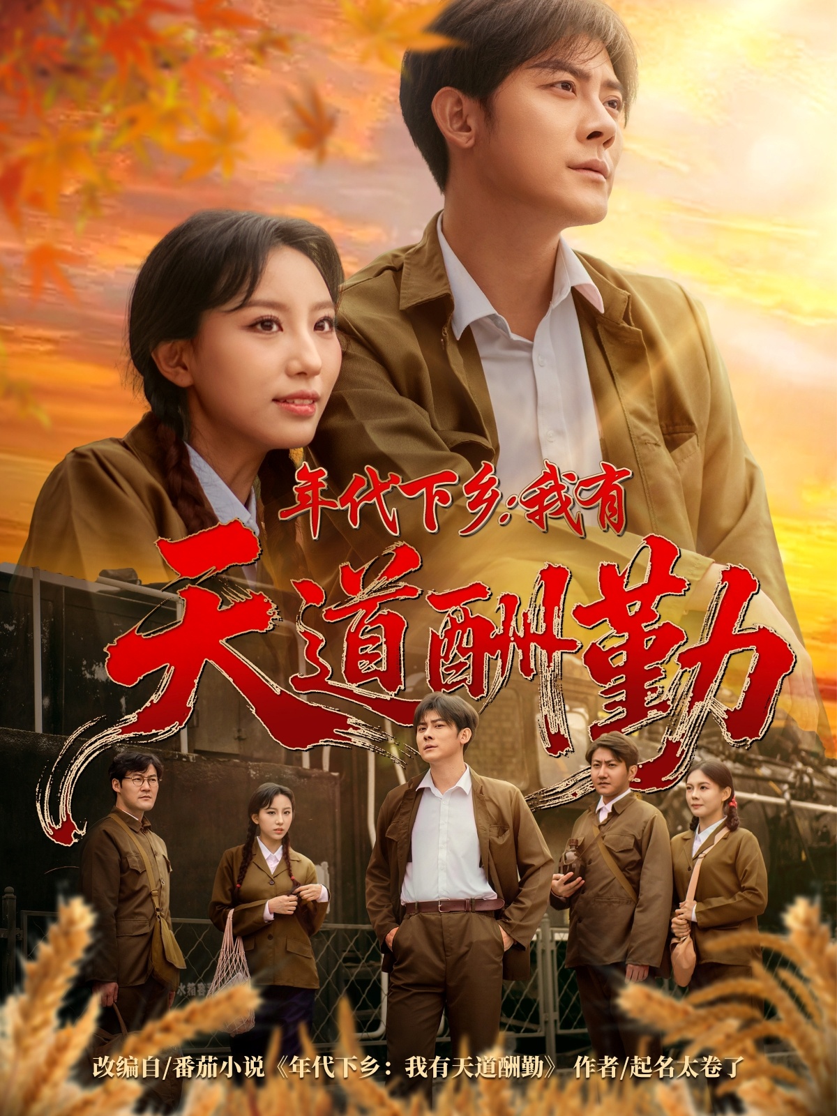年代下乡我有天道酬勤封面图