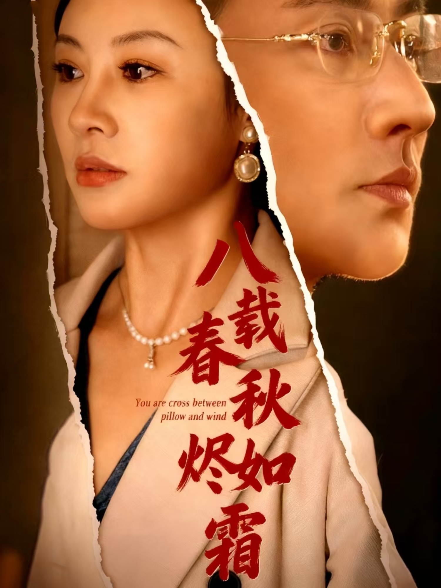 八载春秋烬如霜封面图