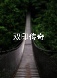 双印传奇封面图