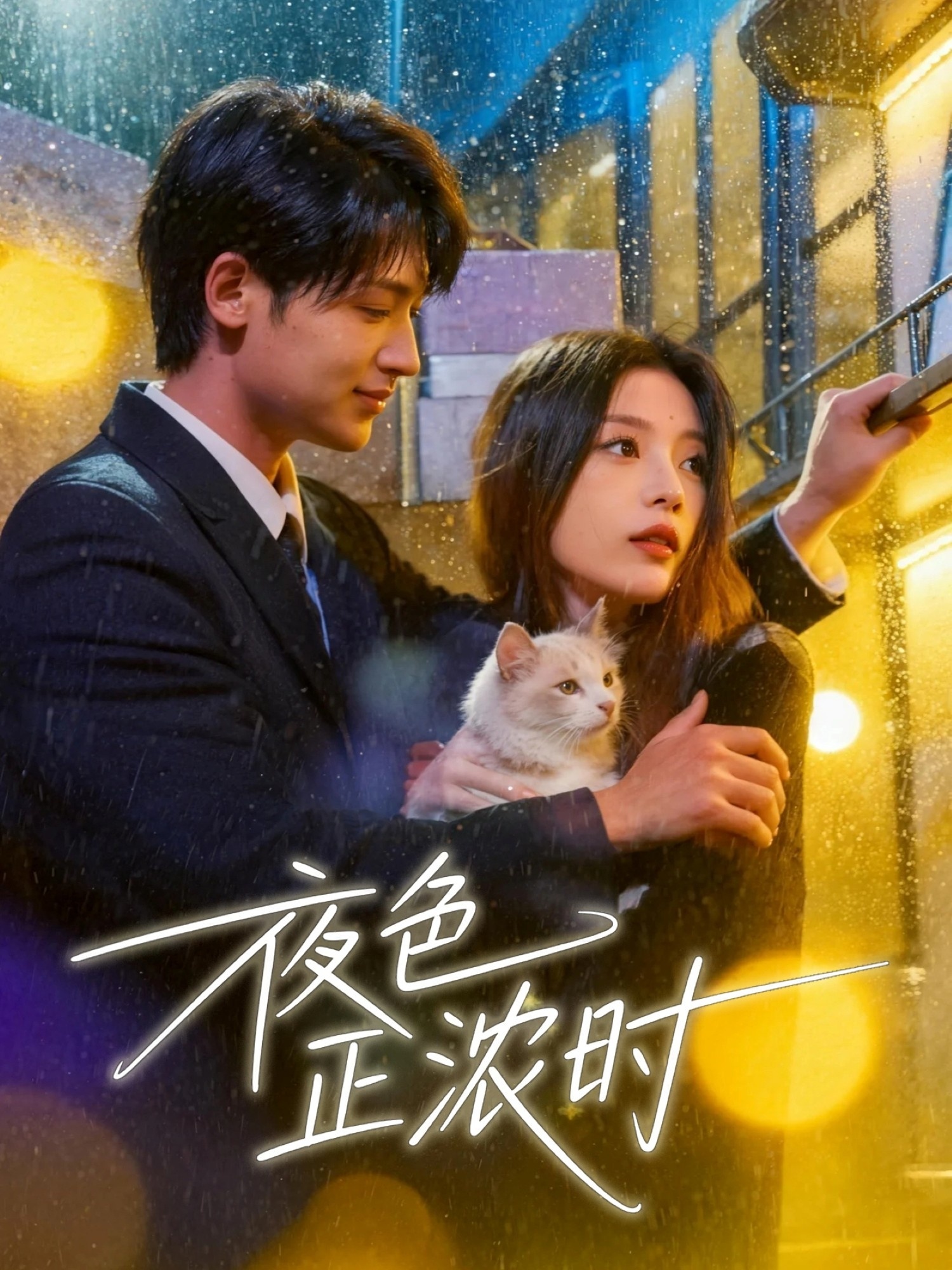 夜色正浓时封面图
