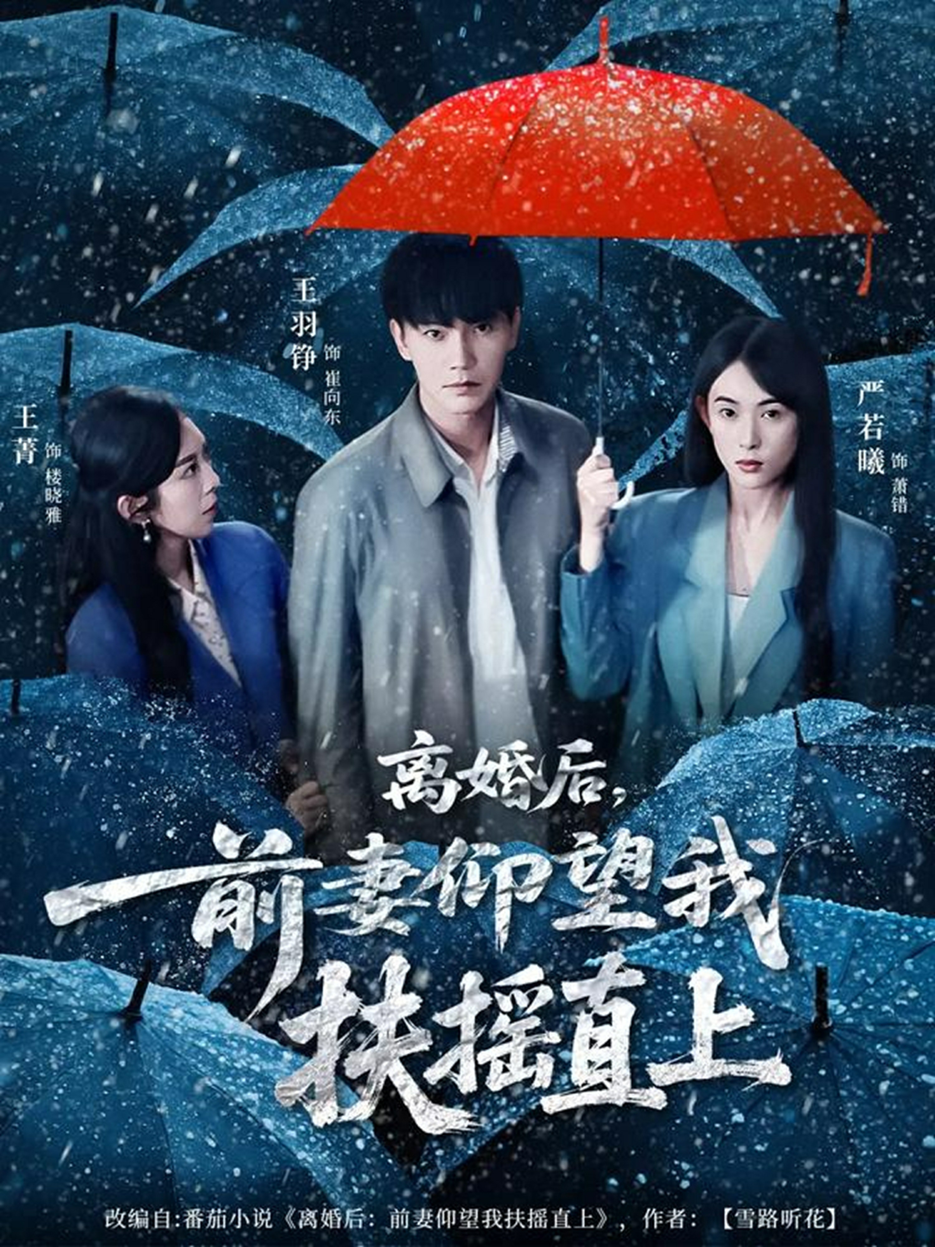 离婚后，前妻仰望我扶摇直封面图