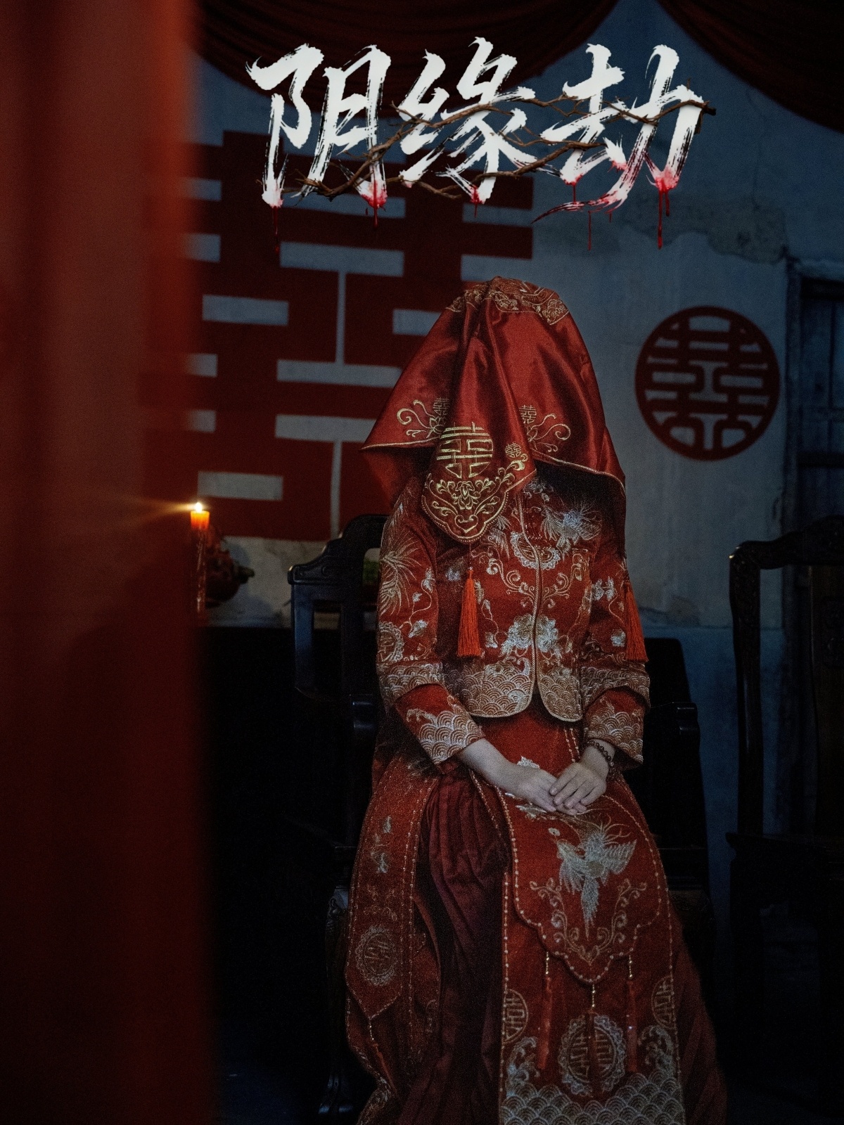 阴缘劫封面图